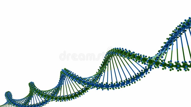 Cadena de la DNA