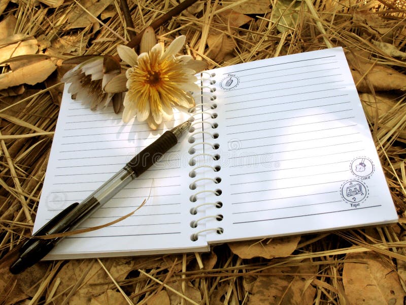 A blank open notebook resting on a blanket of dry leaves, with two flowers and a pen and some sunshine falling on the scene, evoking a romantic teenage girl's diary. A blank open notebook resting on a blanket of dry leaves, with two flowers and a pen and some sunshine falling on the scene, evoking a romantic teenage girl's diary