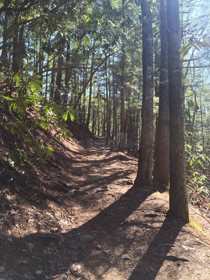 Cades cove hiking trail stock photo. Image of waterfall 67702402