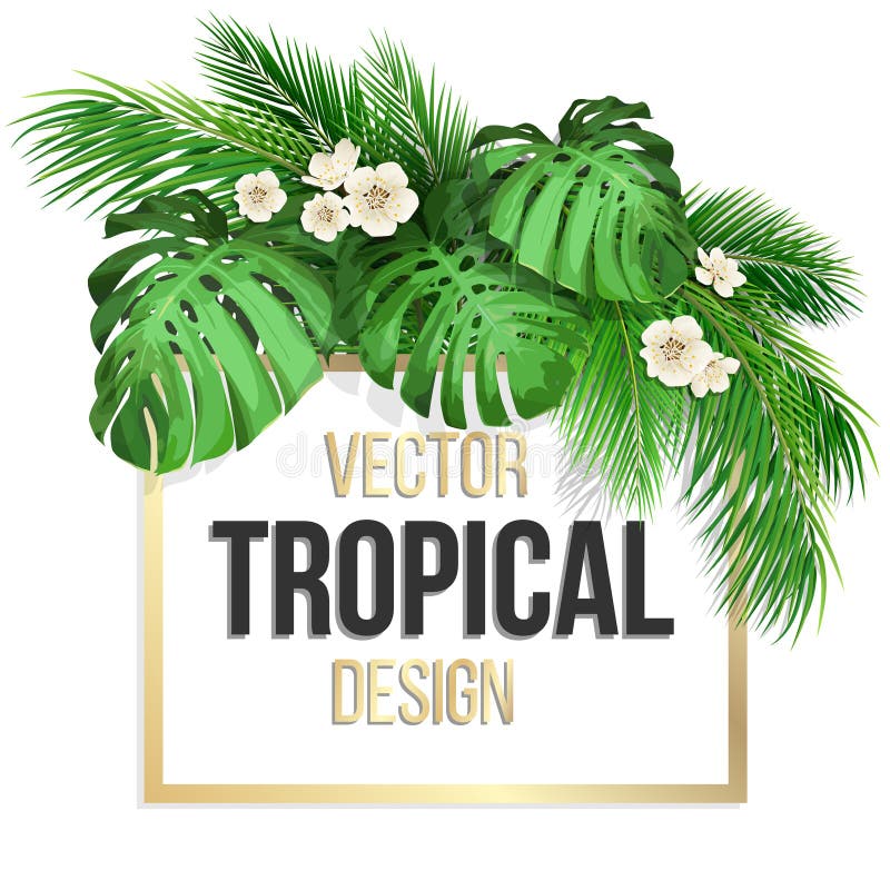 Cadre carré avec les feuilles tropicales illustration stock Cadre carré avec les feuilles tropicales illustration stock