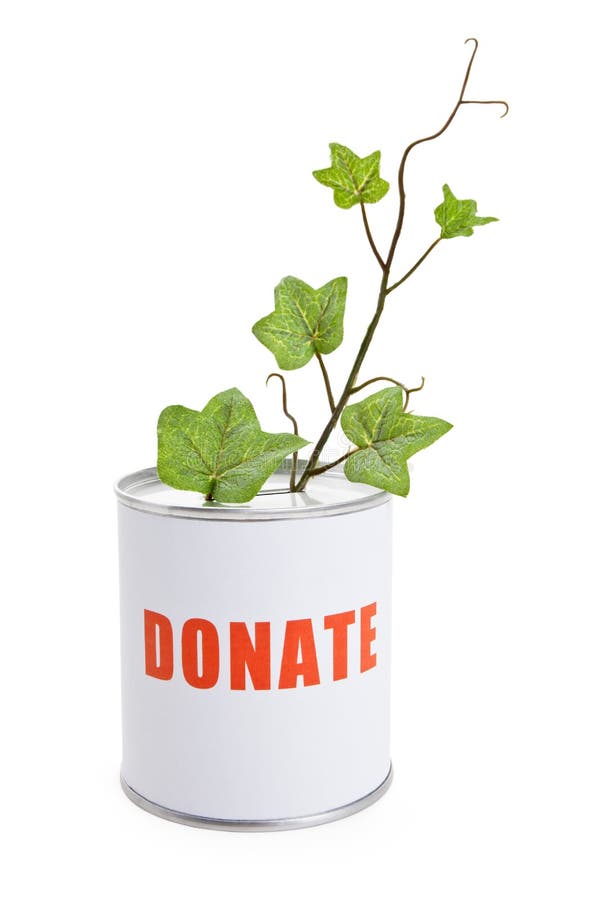 Cadre de donation et plante verte image libre de droits Cadre de donation et plante verte image libre de droits