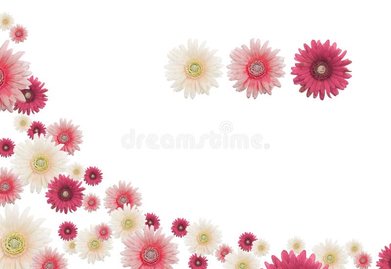 Cadre de fleur illustration libre de droits Cadre de fleur illustration libre de droits