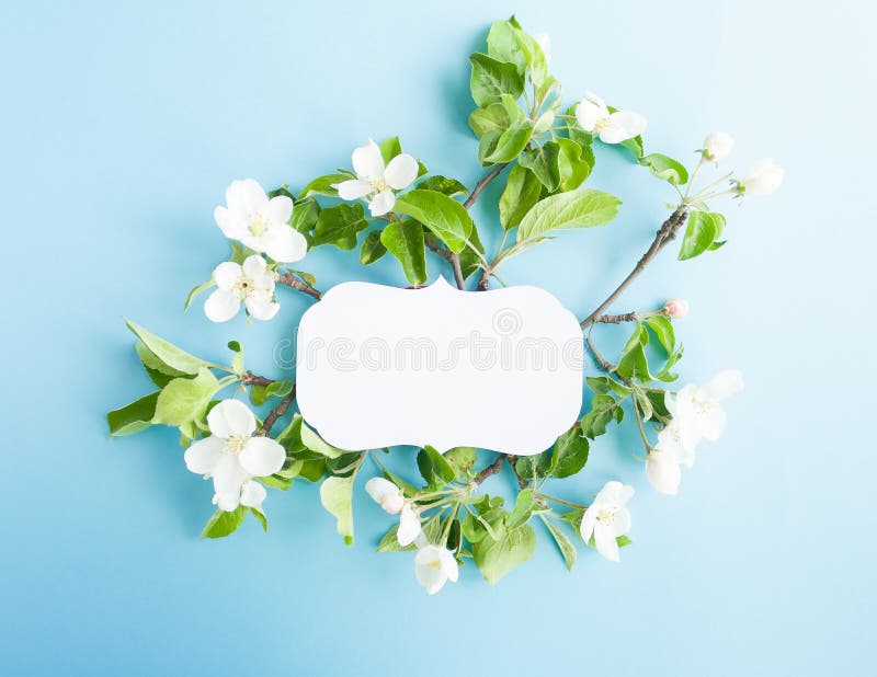 Cadre de vintage avec la pomme de fleur sur le fond bleu images libres de droits Cadre de vintage avec la pomme de fleur sur le fond bleu images libres de droits
