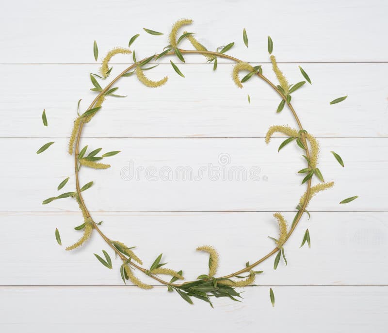 Cadre décoratif d'une branche d'arbre sur un fond blanc image libre de droits Cadre décoratif d'une branche d'arbre sur un fond blanc image libre de droits