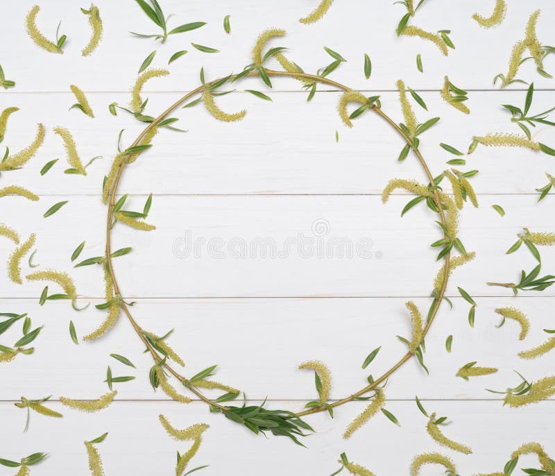 Cadre décoratif d'une branche d'arbre sur un fond blanc images stock Cadre décoratif d'une branche d'arbre sur un fond blanc images stock