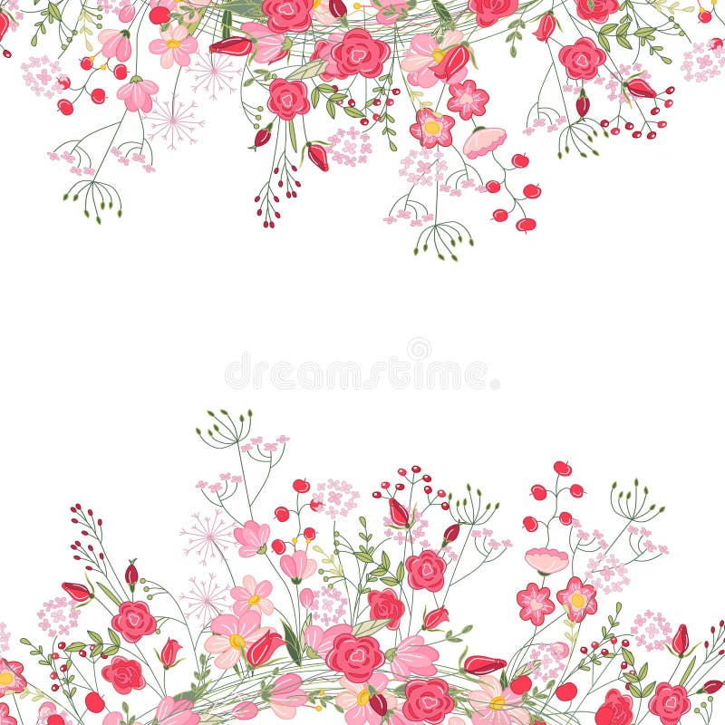 Cadre détaillé de place de découpe avec des herbes, des roses et des fleurs sauvages d'isolement sur le blanc Carte de voeux pour