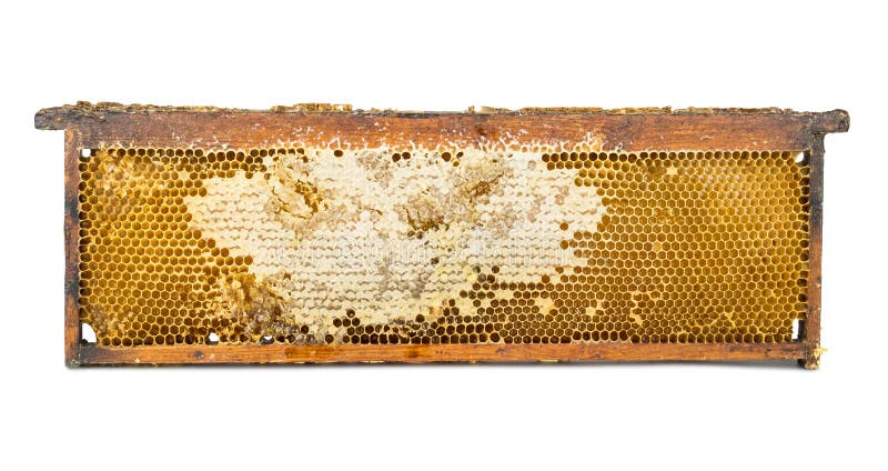 Cadre en bois de nid d'abeilles images stock Cadre en bois de nid d'abeilles images stock