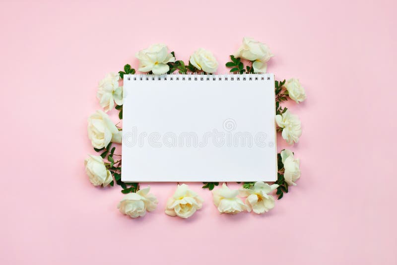 Cadre Floral Des Roses Blanches Autour Du Carnet Sur Le Fond Rose En Pastel Anniversaire De L Espace De Copie Mere Valentines Photo Stock Image Du Eucalyptus Ressort Cadre Floral Des Roses Blanches Autour Du Carnet Sur Le Fond Rose En Pastel Anniversaire De L Espace De Copie Mere Valentines Photo Stock Image Du Eucalyptus Ressort