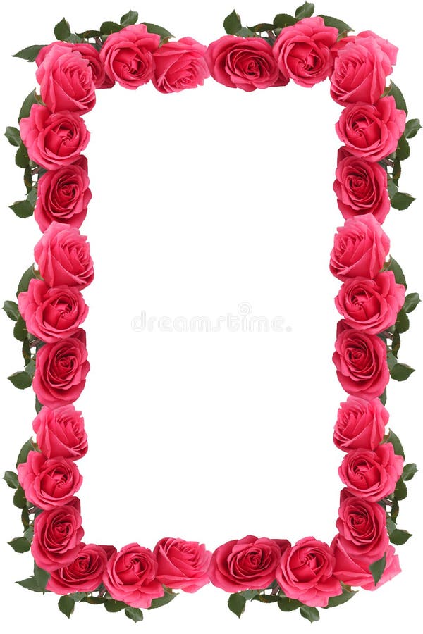 Cadre ou trame rose de rose photos stock Cadre ou trame rose de rose photos stock