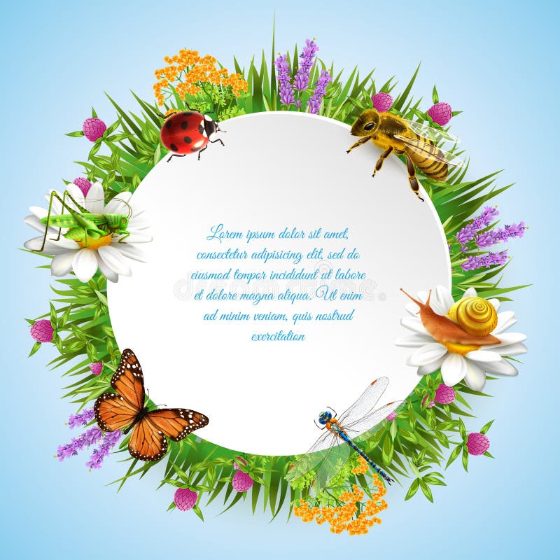 Cadre rond d'insectes illustration stock Cadre rond d'insectes illustration stock