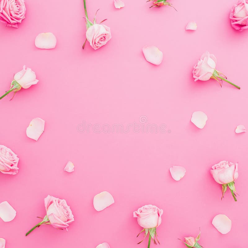 Cadre rond floral avec des fleurs et des pétales de roses sur le fond de rose en pastel Configuration plate, vue supérieure Fond photos stock