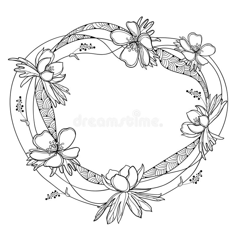 Vector round frame with outline Eranthis or winter aconite flower and leaves in black isolated on white background. Floral bunch with contour Eranthis for spring coloring book. Vector round frame with outline Eranthis or winter aconite flower and leaves in black isolated on white background. Floral bunch with contour Eranthis for spring coloring book.