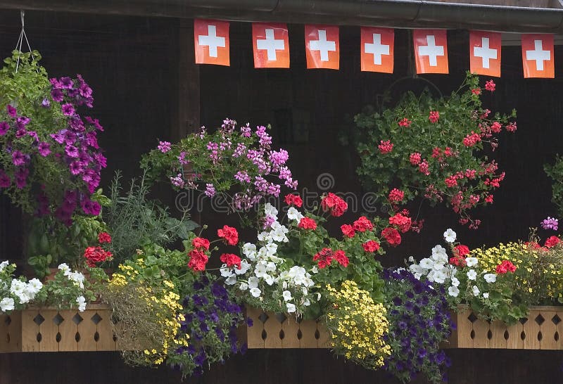Cadres de fleur sur le balcon suisse images libres de droits Cadres de fleur sur le balcon suisse images libres de droits