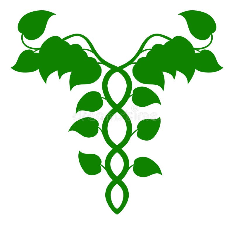 Caduceo holístico de la medicina o concepto de la DNA ilustración del vector Caduceo holístico de la medicina o concepto de la DNA ilustración del vector