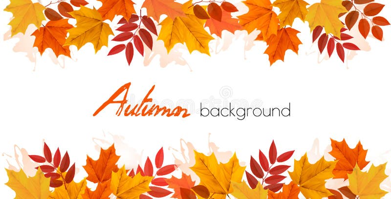 Caduta Autumn Colorful Leaves Background