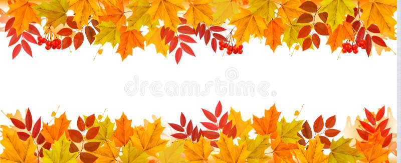 Caduta Autumn Colorful Leaves Background di panorama