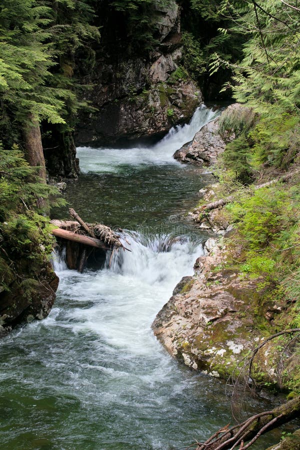 Cadute del Franklin, insenatura di Denny, foresta di Snoqualmie immagine stock libera da diritti Cadute del Franklin, insenatura di Denny, foresta di Snoqualmie immagine stock libera da diritti