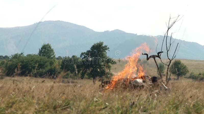 Cadáver ardiente antiguo Ritual_1