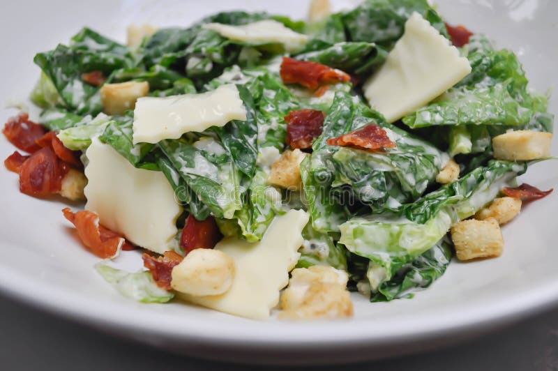 Caesar Salad with Cheese and Bacon Stock Photo Image of dressing