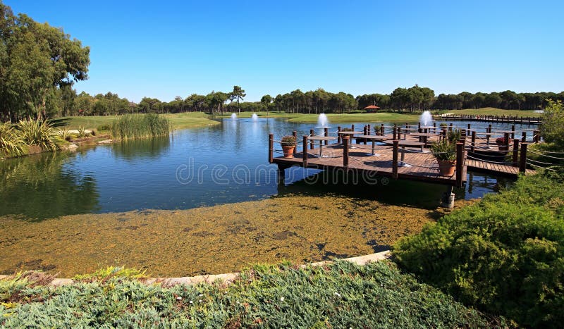 Cafe on the artificial pond