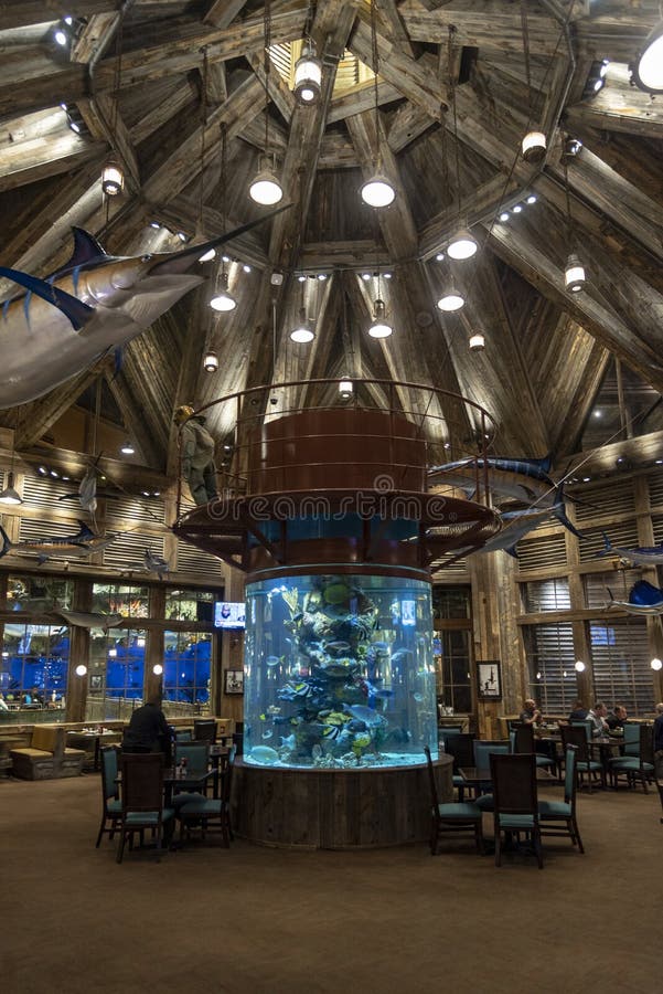 Cafe Inside the Bass Pro Shop Pyramid Memphis Tennessee Editorial Stock  Image - Image of alley, american: 167238969