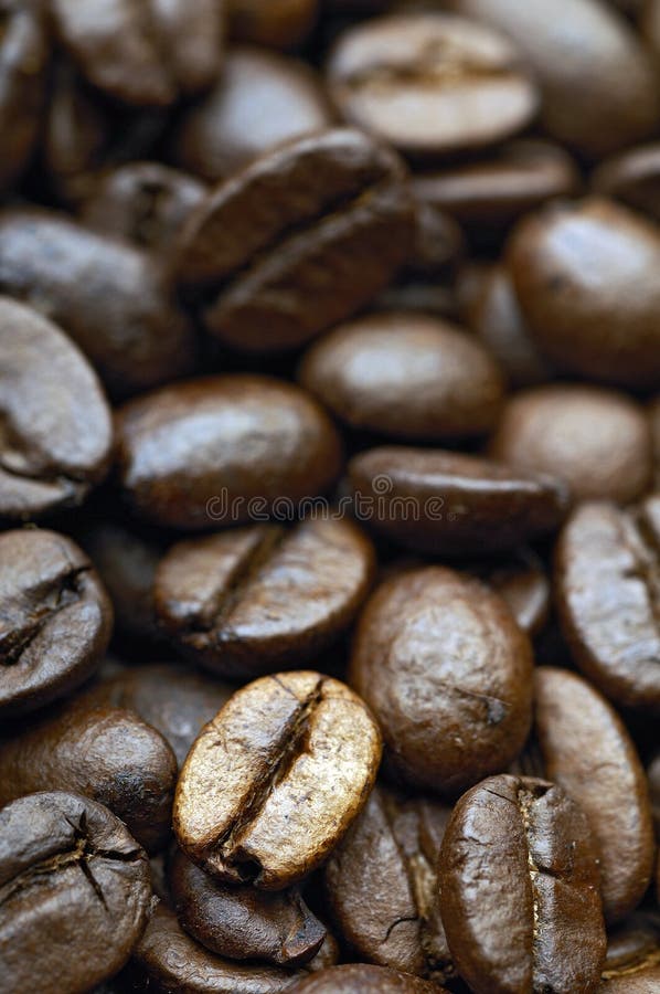 Caffè fotografia stock libera da diritti