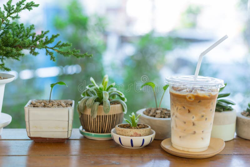 Caffè del latte del ghiaccio con la natura verde sulla tavola di legno fotografia stock Caffè del latte del ghiaccio con la natura verde sulla tavola di legno fotografia stock