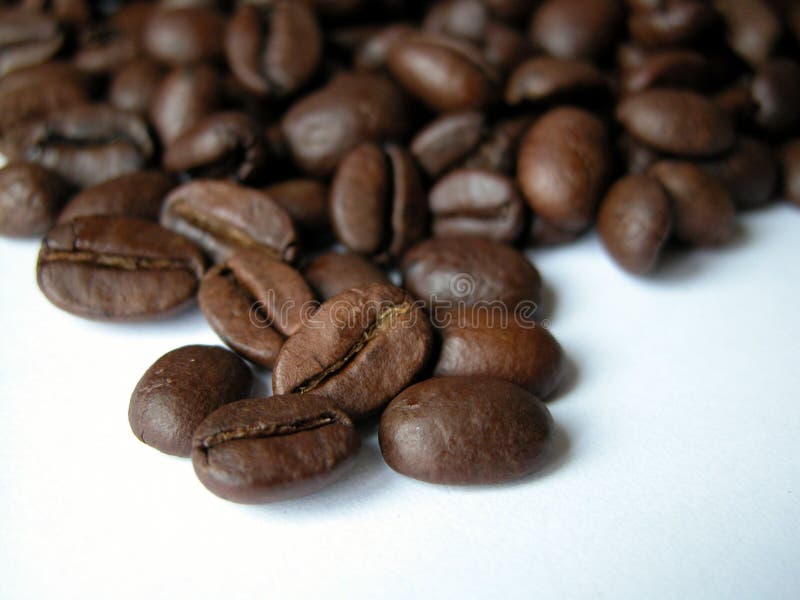 Download Café foto de stock. Imagem de feijões, fundo, árabe, alimentos - 56422