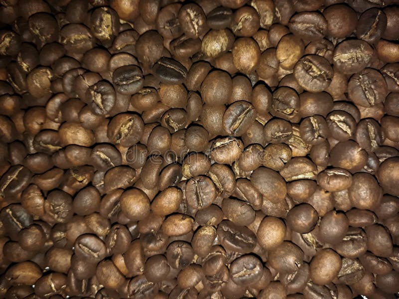 Café de lampung Indonésie si célèbre photos libres de droits