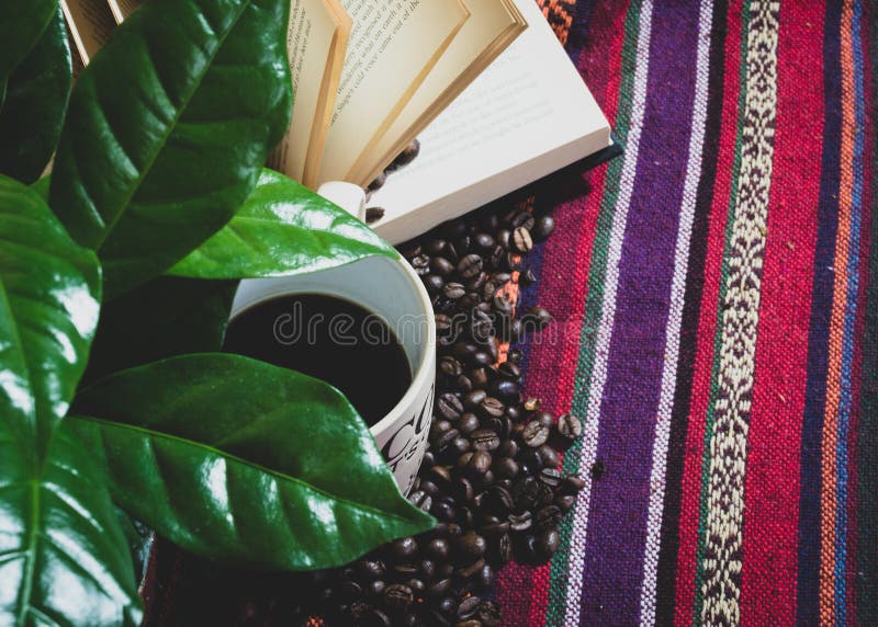 Still life of a coffee plant a nice cup of coffee and a good book on a colorful background. Still life of a coffee plant a nice cup of coffee and a good book on a colorful background