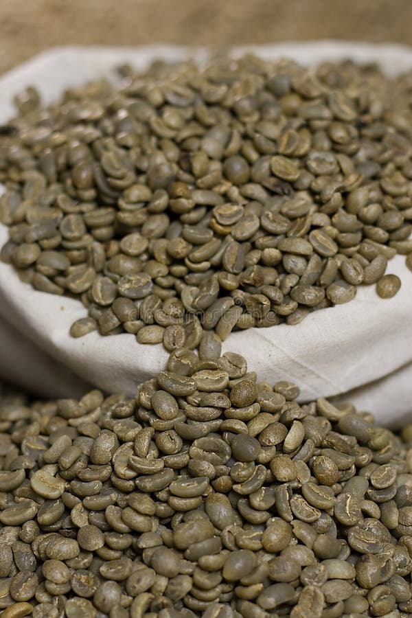 Café verde cru imagem de stock
