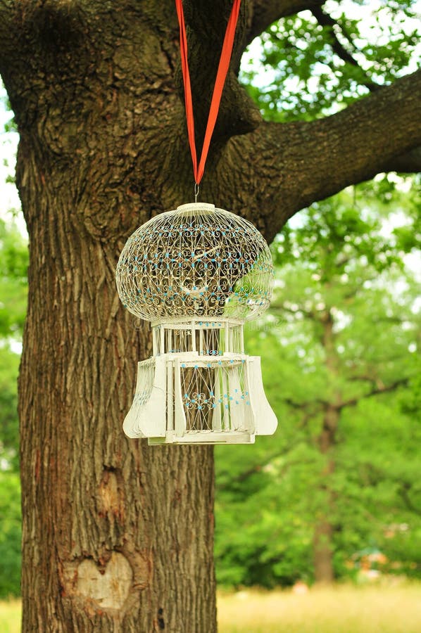 Cage with bird stock photo Cage with bird stock photo