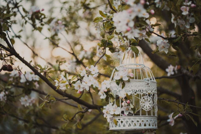 Cage à oiseaux - décor romantique image stock Cage à oiseaux - décor romantique image stock