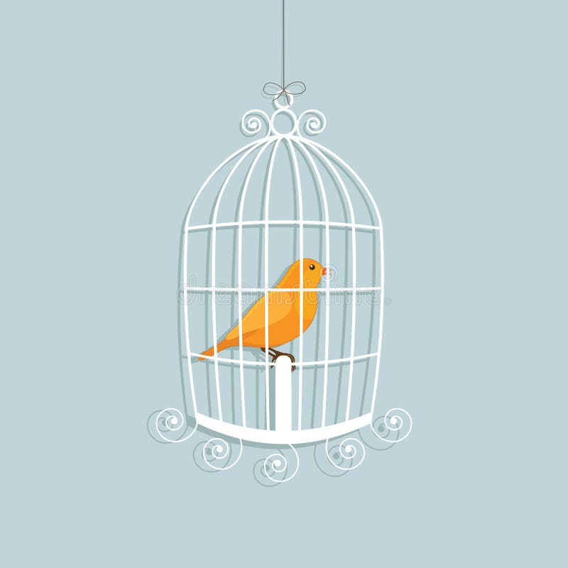 Bird in a cage stock vector. Illustration of white, birdcage - 9614411