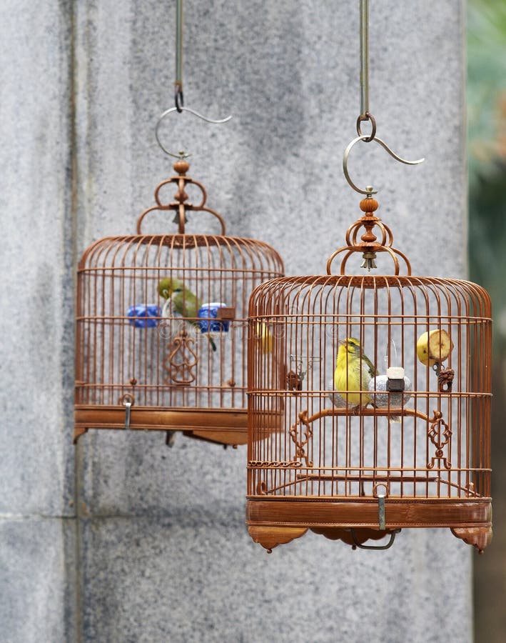 Caged song birds stock image. Image of song, asian, china 27716395