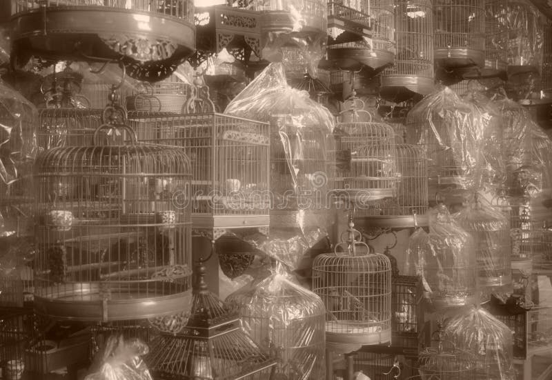 Cages d'oiseau chinoises - type de cru image libre de droits Cages d'oiseau chinoises - type de cru image libre de droits