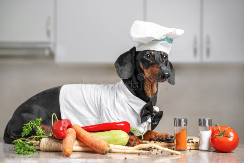 Cagnolino con un berretto e un vestito dello chef in cucina, con verdure e vari oggetti di cucina