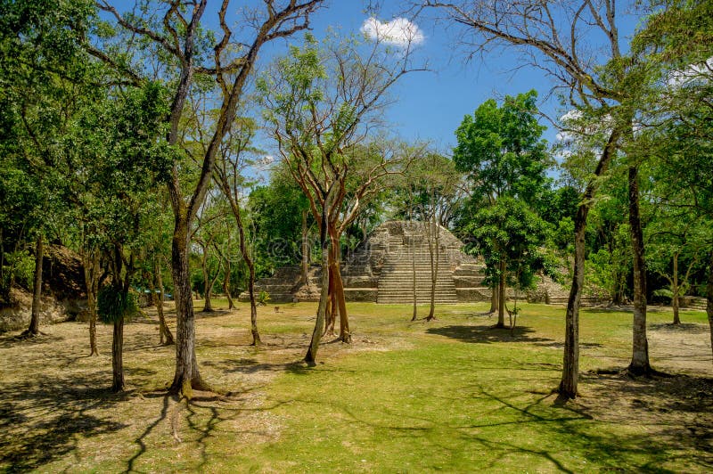 Cahal Pech, Cayo, Belize royaltyfria bilder