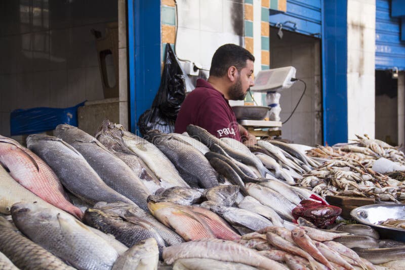 CAIRO, EGYPT DECEMBER 29, 2021 Seller at the Central Fish Market in Cairo Editorial Image