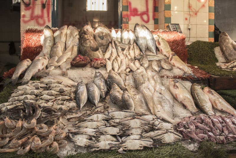 CAIRO, EGYPT DECEMBER 29, 2021 Seller at the Central Fish Market in Cairo Editorial