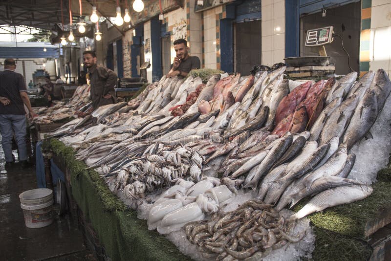 CAIRO, EGYPT DECEMBER 29, 2021 Seller at the Central Fish Market in Cairo Editorial Image
