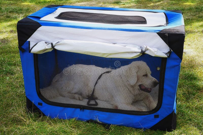 Download Caisse Molle D'animal Familier, Niche Portative Image stock - Image du blanc, maison: 77163303
