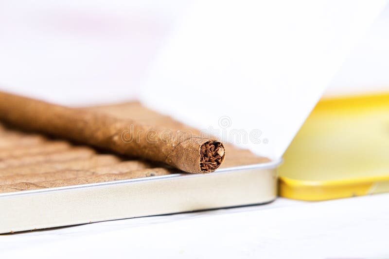 Caixa de cigarrilhas sobre fundo branco Na caixa está um charuto fotografia de stock