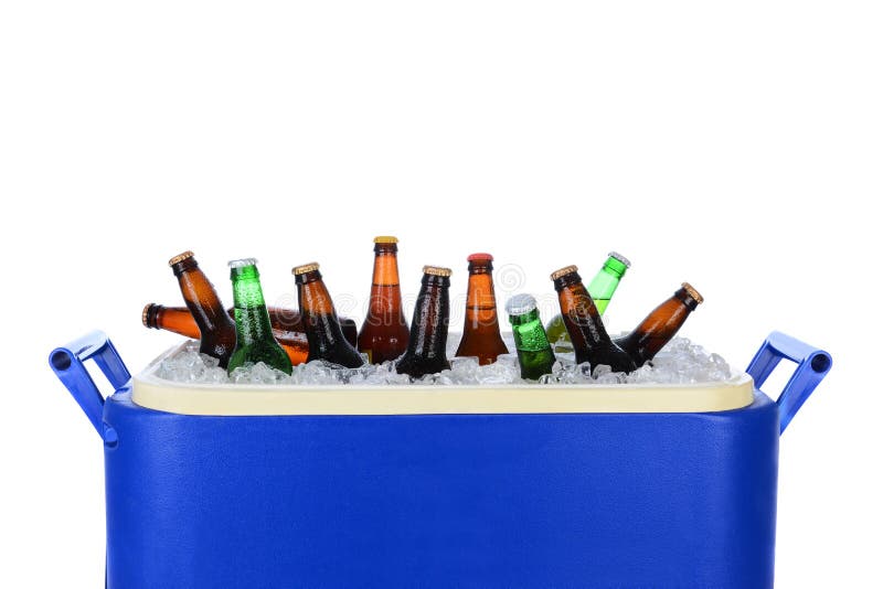 Caixa de gelo completamente de garrafas de cerveja
