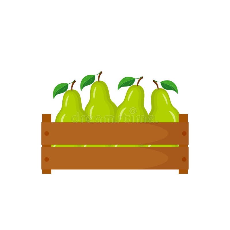 Caixa de madeira com ilustração verde do vetor da pera ilustração do vetor