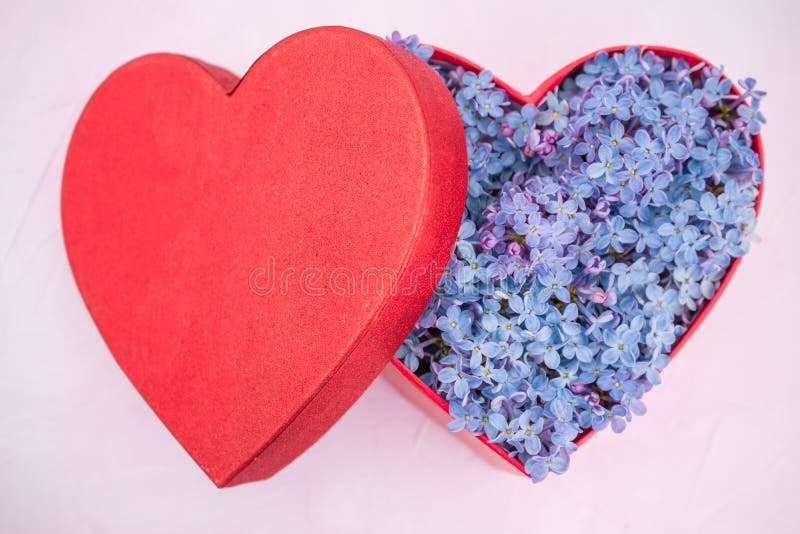 Caixa de presente de coração vermelho com flores lilás