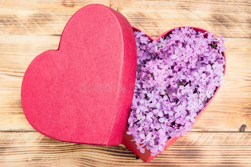 Caixa de presente de coração vermelho com flores lilás