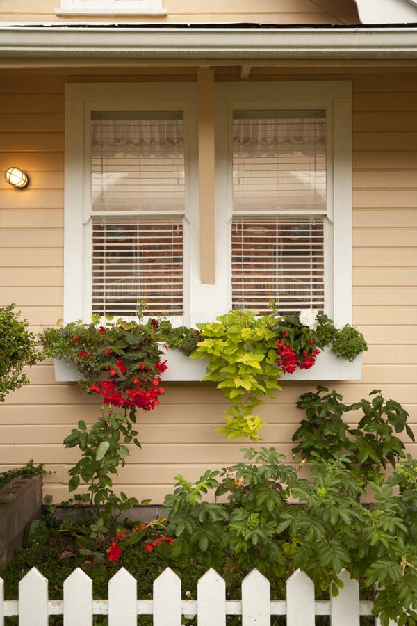 Planter boxes with plants and red flowers are set under a pair of windows in a home. There is a white picket fence in the foreground. Vertical shot. Planter boxes with plants and red flowers are set under a pair of windows in a home. There is a white picket fence in the foreground. Vertical shot.