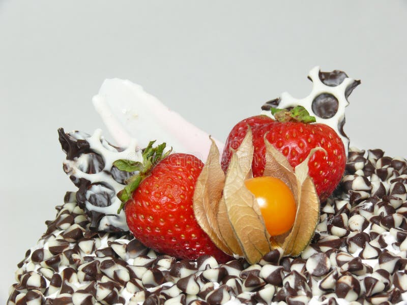 Cake with chocolate chips and berries (right side)