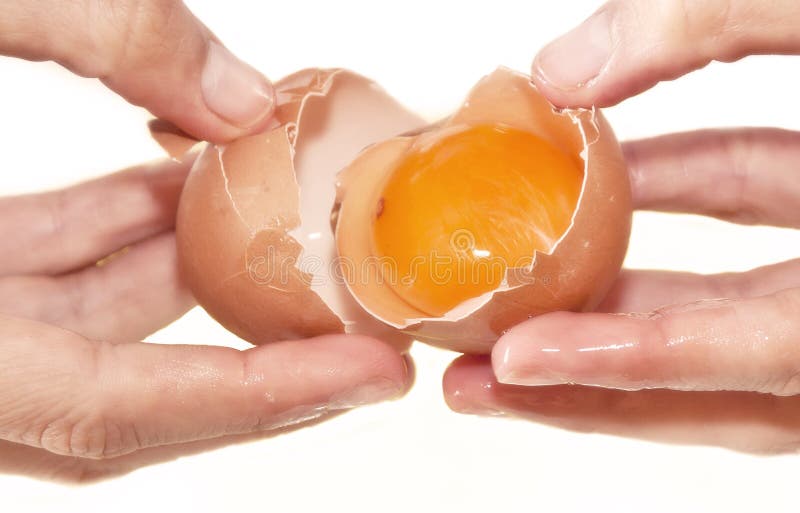 Cake making: Hands opening un egg showing a red yolk inside with a white background. Close-up photo. Rome, Italy, first of may